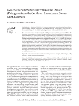 Evidence for Ammonite Survival Into the Danian (Paleogene) from the Cerithium Limestone at Stevns Klint, Denmark