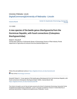 A New Species of the Beetle Genus Brachypsectra from the Dominican Republic, with Fossil Connections (Coleoptera: Brachypsectridae)