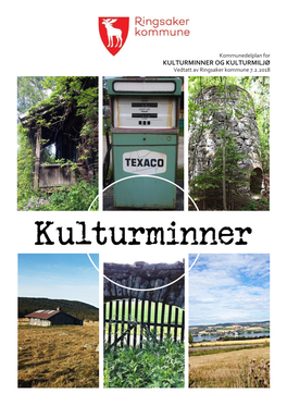 KULTURMINNER OG KULTURMILJØ Vedtatt Av Ringsaker Kommune 7.2.2018