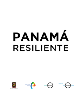 View Resilience Strategy (English)