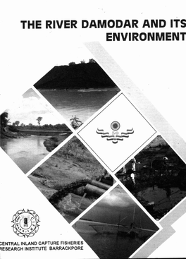 THE RIVER DAMODAR and ITS ENVIRONMENT the River Damodar and Its Environment