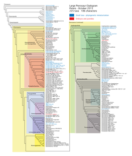 Large Pterosaur Cladogram Peters