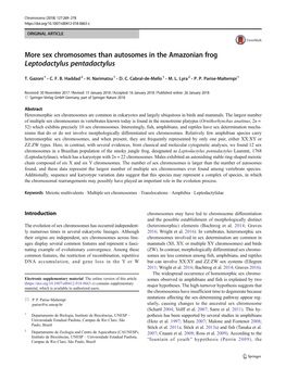 Sex Chromosomes Than Autosomes in the Amazonian Frog Leptodactylus Pentadactylus