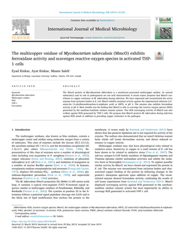 The Multicopper Oxidase of Mycobacterium Tuberculosis (Mmco)