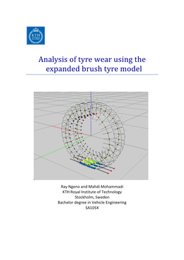 Analysis of Tyre Wear Using the Expanded Brush Tyre Model