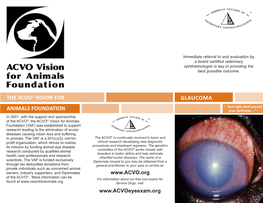 Brochure on Glaucoma