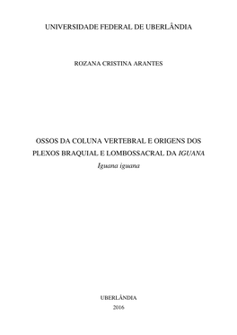 UNIVERSIDADE FEDERAL DE UBERLÂNDIA OSSOS DA COLUNA VERTEBRAL E ORIGENS DOS PLEXOS BRAQUIAL E LOMBOSSACRAL DA IGUANA Iguana Igua