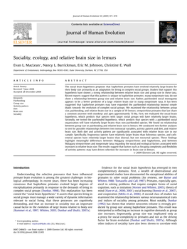 Sociality, Ecology, and Relative Brain Size in Lemurs