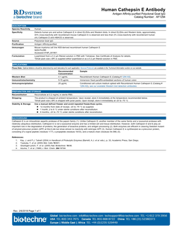 Human Cathepsin E Antibody Antigen Affinity-Purified Polyclonal Goat Igg Catalog Number: AF1294