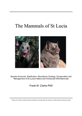 The Mammals of St Lucia