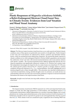 Plastic Responses of Magnolia Schiedeana Schltdl., a Relict