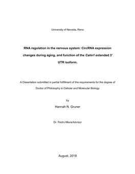 RNA Regulation in the Nervous System: Circrna Expression