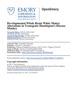 Developmental Whole Brain White Matter