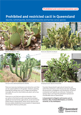 Prohibited and Restricted Cacti in Queensland Blind Cactus Must Be Reported to Biosecurity Queensland on 13 25 23 Within 24 Hours of Sighting