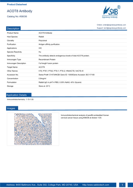 ACOT8 Antibody