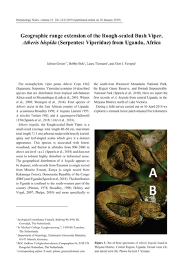 Geographic Range Extension of the Rough-Scaled Bush Viper, Atheris Hispida (Serpentes: Viperidae) from Uganda, Africa