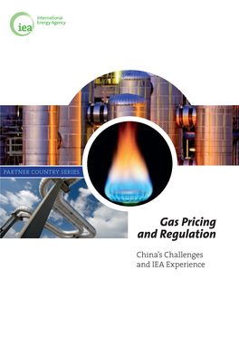 Gas Pricing and Regulation