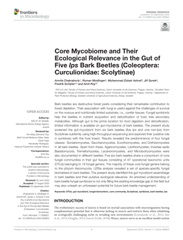 Core Mycobiome and Their Ecological Relevance in the Gut of Five Ips Bark Beetles (Coleoptera: Curculionidae: Scolytinae)