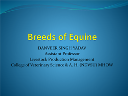 Breeds of Equine