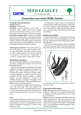 Pentaclethra Macroloba (Willd.) Kuntze