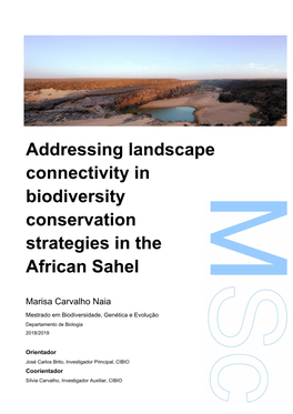 Addressing Landscape Connectivity in Biodiversity Conservation Strategies in the African Sahel