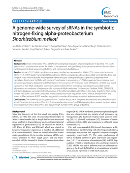 A Genome-Wide Survey of Srnas in the Symbiotic Nitrogen-Fixing