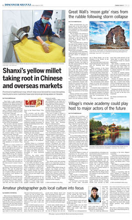 Shanxi's Yellow Millet Taking Root in Chinese and Overseas Markets