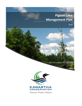 Pigeon Lake Management Plan