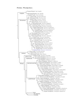 Picidae Species Tree