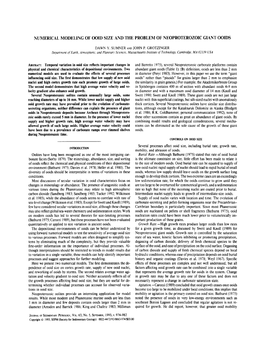 Numerical Modeling of Ooid Size and the Problem of Neoproterozoic Giant Ooids