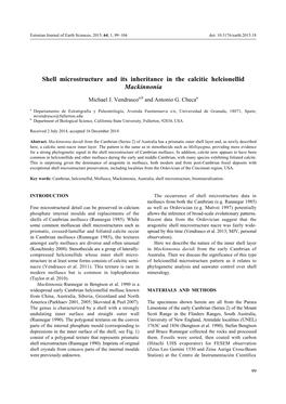 Shell Microstructure and Its Inheritance in the Calcitic Helcionellid Mackinnonia