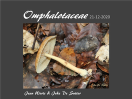 Omphalotaceae 21-12-2020