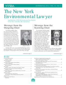 The New York Environmental Lawyer