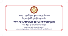 The-Practice-Of-Trinley-Nyingpo.Pdf