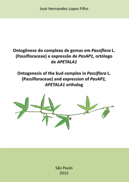Passifloraceae) E Expressão De Pasap1, Ortólogo De APETALA1