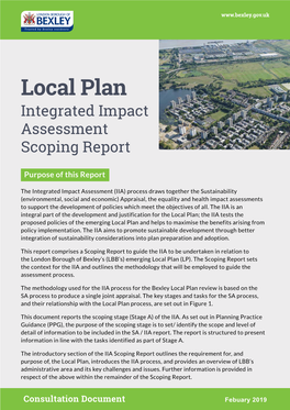 Integrated Impacts Assessment Scoping Report