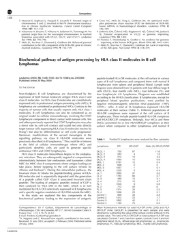 Biochemical Pathway of Antigen Processing by HLA Class II Molecules in B Cell Lymphomas