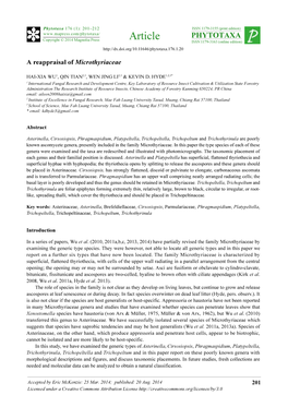 A Reappraisal of Microthyriaceae