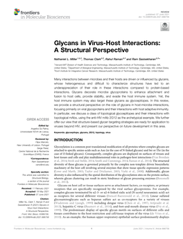 Glycans in Virus-Host Interactions: a Structural Perspective