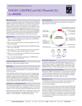 FHOD1 CRISPR/Cas9 KO Plasmid (H): Sc-404286