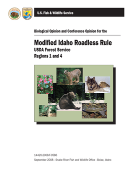 Modified Idaho Roadless Rule USDA Forest Service Regions 1 and 4