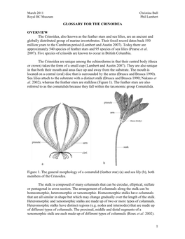 Glossary for the Crinoidea