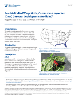 Scarlet-Bodied Wasp Moth, Cosmosoma Myrodora (Dyar) (Insecta: Lepidoptera: Arctiidae)1 Diego Moscoso, Rodrigo Diaz, and William A