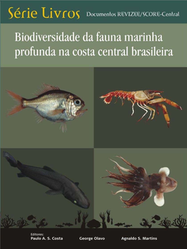 Biodiversidade Da Fauna Marinha Profunda Na Costa Central Brasileira / Editores Paulo A