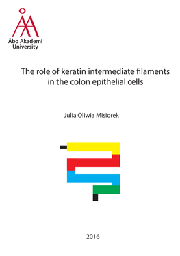 The Role of Keratin Intermediate Filaments in the Colon Epithelial Cells