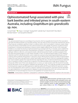 Ophiostomatoid Fungi Associated with Pine Bark Beetles and Infested Pines in South‑Eastern Australia, Including Graphilbum Ipis‑Grandicollis Sp