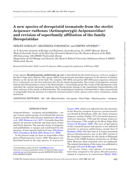 A New Species of Deropristid Trematode from the Sterlet