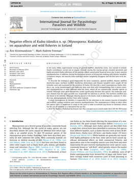 Negative Effects of Kudoa Islandica N. Sp. (Myxosporea: Kudoidae) on Aquaculture and Wild ﬁsheries in Iceland