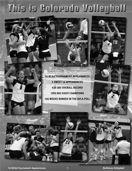 Volleyball 2009:Volleyball 2004