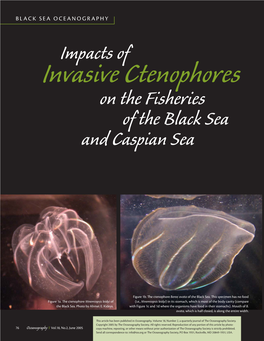 On the Fisheries of the Black Sea and Caspian Sea Impacts Of